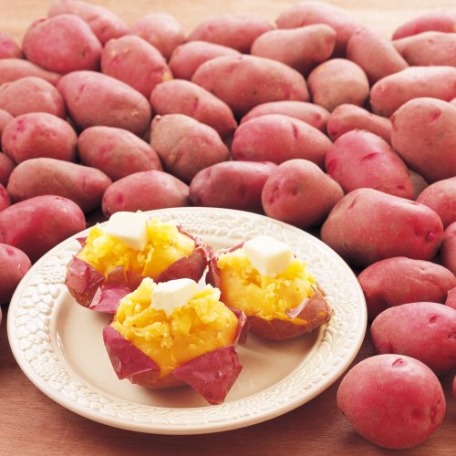 レッドムーン[馬鈴薯] - e-種や｜国内最大級の野菜種・花種・苗・農業